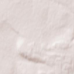 Zasechnoye Terrain Map