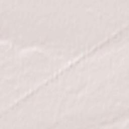 Rebrikha Terrain Map