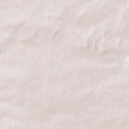 Czernice Borowe Terrain Map