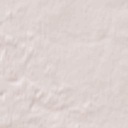 Powiat toruński Terrain Map