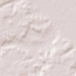 Zhirovichi Terrain Map
