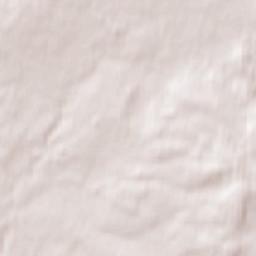 Rock Lane, Market Drayton, Staffordshire Terrain Map