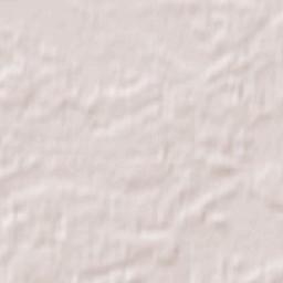 Powiat czarnkowsko-trzcianecki Terrain Map