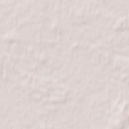 Bieżuń Terrain Map