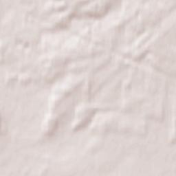 Ruzhany Terrain Map