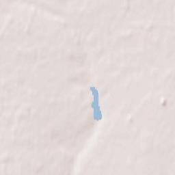 Topchikha Terrain Map