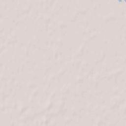 21 Lynn Road, Terrington Saint Clement Terrain Map