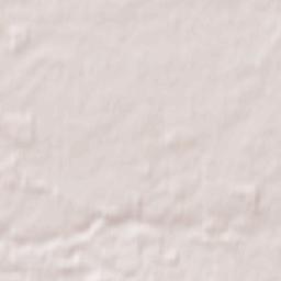 Janowiec Wielkopolski Terrain Map