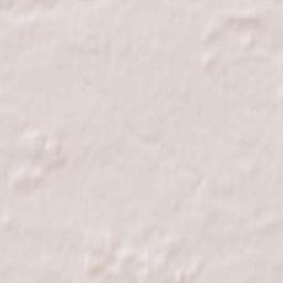 Mieścisko Terrain Map