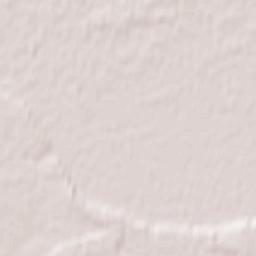 Rząśnik Terrain Map