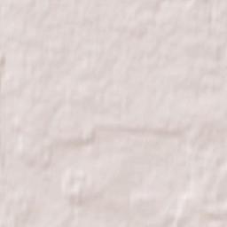 Białowieża Terrain Map