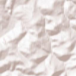 Spassk Terrain Map
