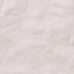 Brasovskiy Rayon Terrain Map