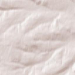 Pavlovka Terrain Map