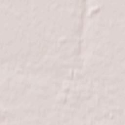 Szamotuły Terrain Map