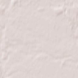 Brześć Kujawski Terrain Map