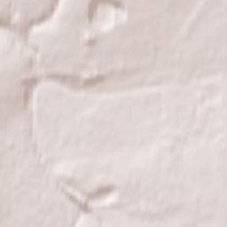 Yelets Terrain Map