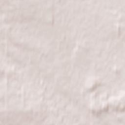 5113-5125 53 Avenue, Rimbey, AB T0C 2J0 Terrain Map