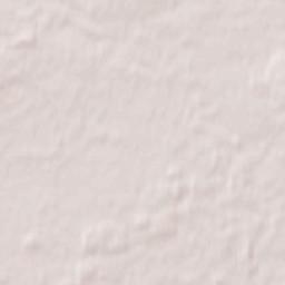 Nasielsk Terrain Map