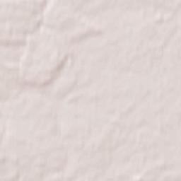 Novozybkov Terrain Map