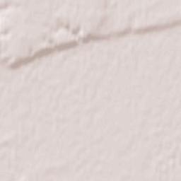 Trubchevskiy Rayon Terrain Map