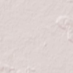 Duszniki Terrain Map