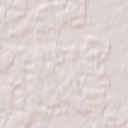 Czerniejewo Terrain Map