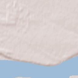 Wyszogród Terrain Map