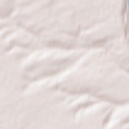 Ust’-Charyshskaya Pristan’ Terrain Map