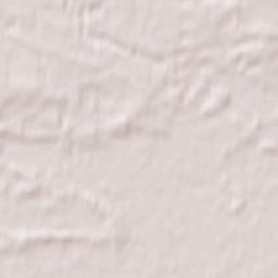 Powiat nowotomyski Terrain Map