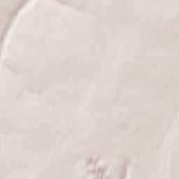 Bazarno-Karabulakskiy Rayon Terrain Map