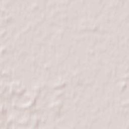 Nowy Tomyśl Terrain Map