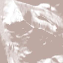 Icefields Pkwy, Jasper, AB T0E, Canada Terrain Map