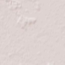 Grodzisk Wielkopolski Terrain Map