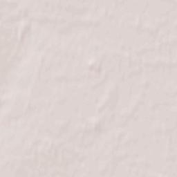 Chąśno Terrain Map