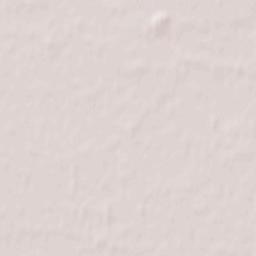 Bieniewice Terrain Map