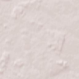 Powiat grodziski Terrain Map