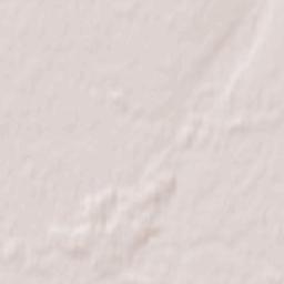 Czempiń Terrain Map