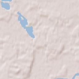 Zaniemyśl Terrain Map