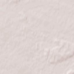 Kościan Terrain Map