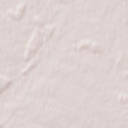 Powiat kościański Terrain Map