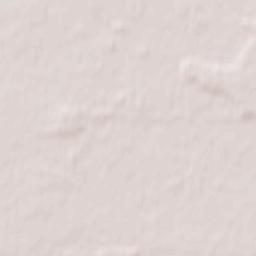 Rychwał Terrain Map