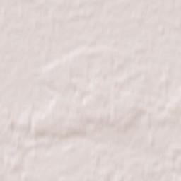 Radziejowice Terrain Map