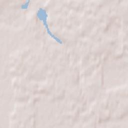 Zalesie Górne Terrain Map