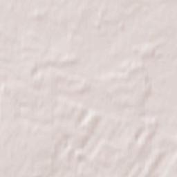 Domanice Terrain Map