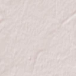 Pugachev Terrain Map