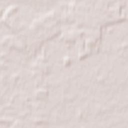 Powiat bialski Terrain Map