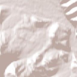 10012-10230 Forestry Trunk Road, Caroline Terrain Map