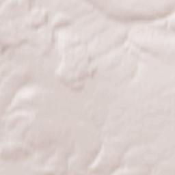 Cochstedt Terrain Map