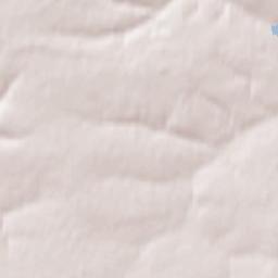 Shchigry Terrain Map